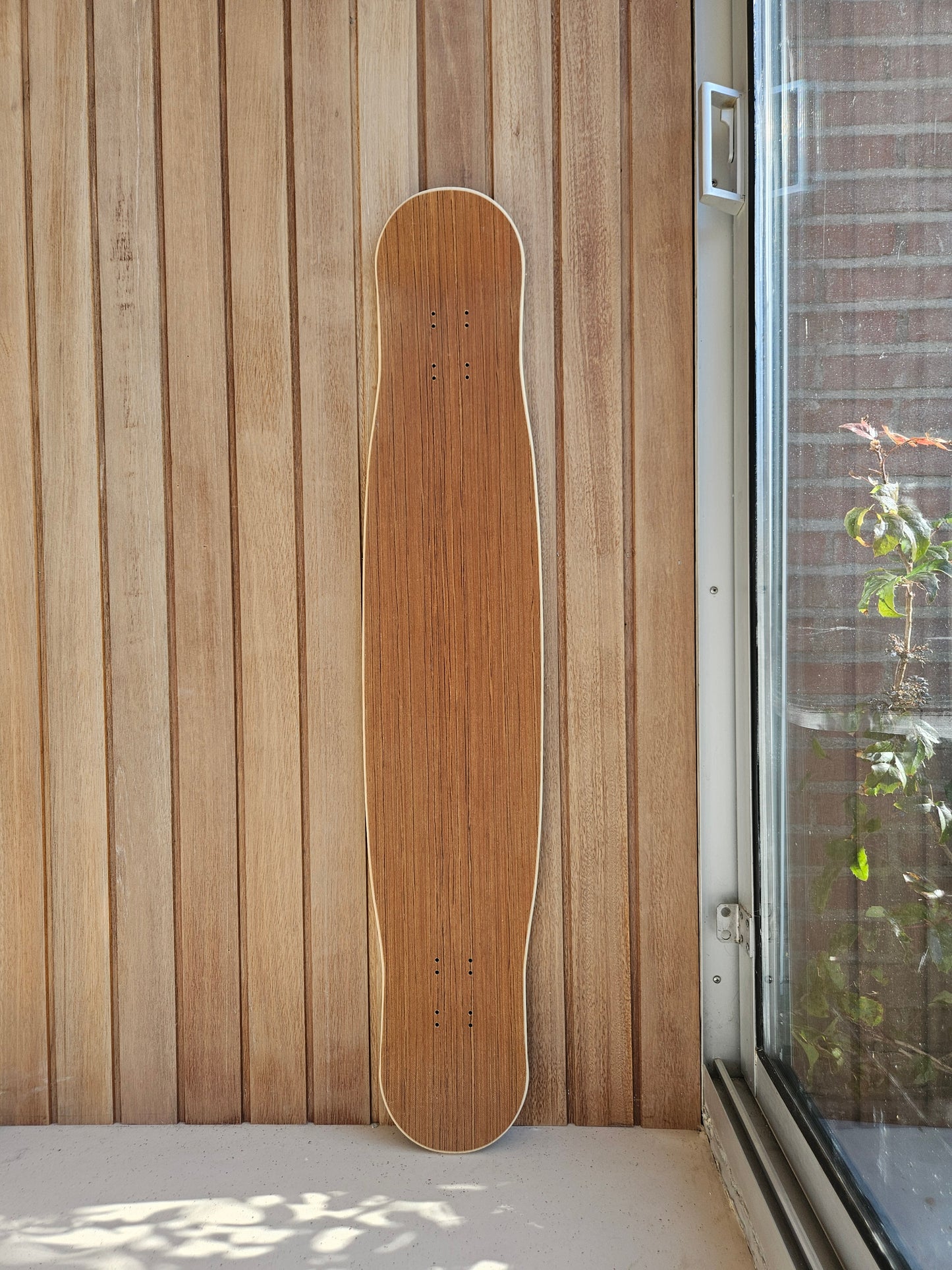 Tortuga Medium Special 3