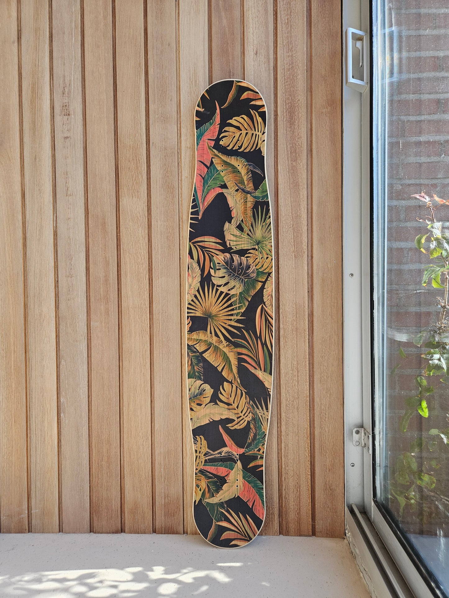 Tortuga Medium Special 6