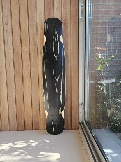 Tortuga Medium Special 5