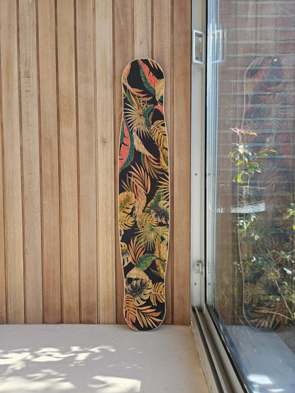 Tortuga Medium Special 5