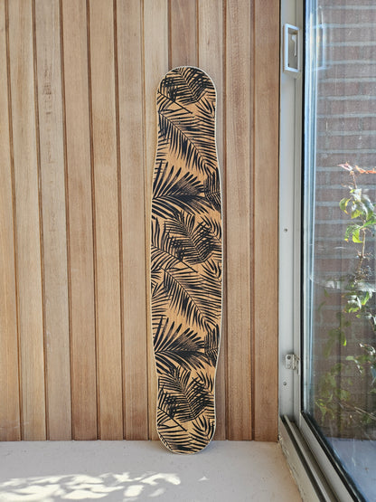 Tortuga Medium Special 4