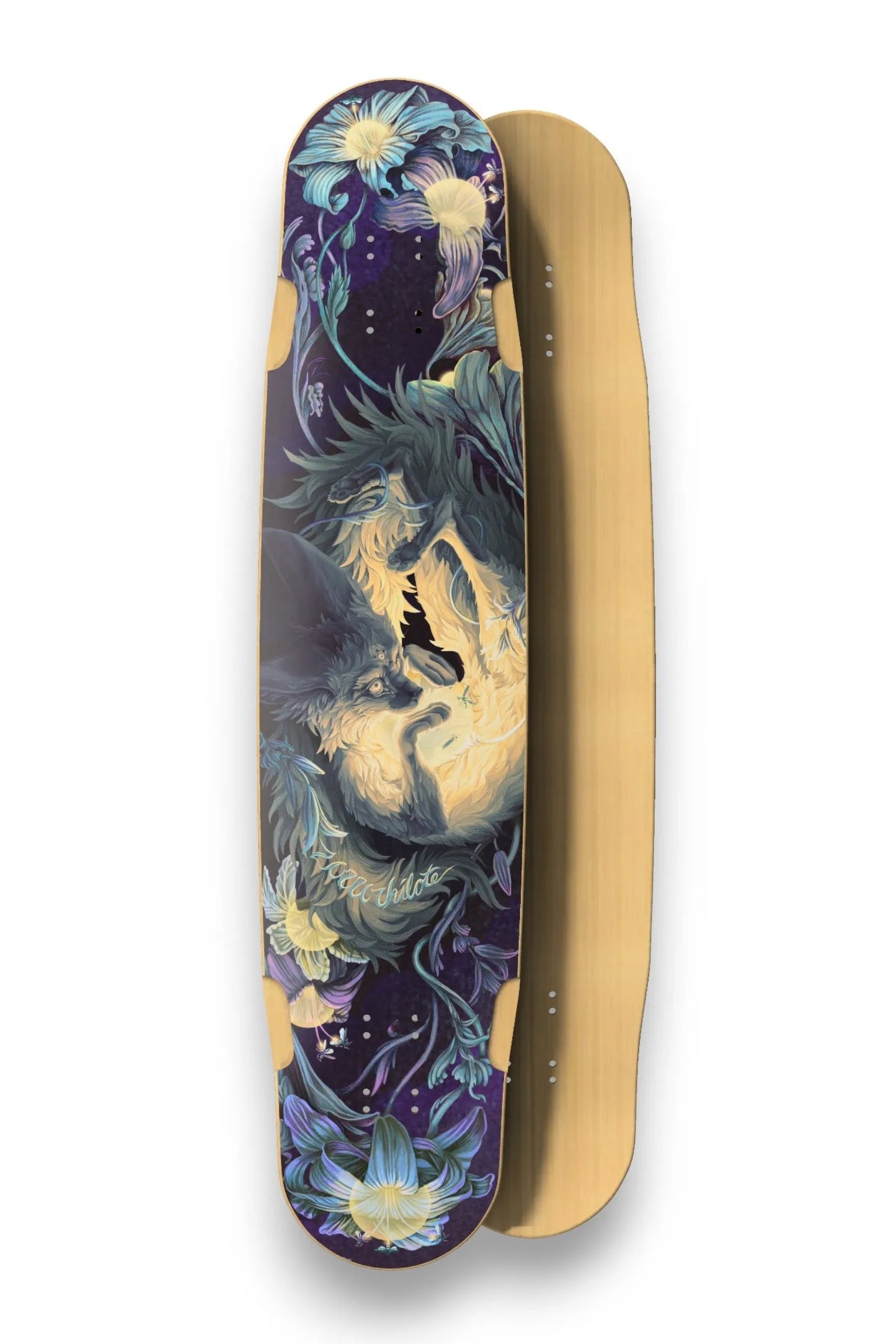 Zorro Chilote 40.5"